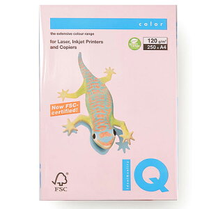 ɓ@oCIgbvJ[@A4 250 120g/m2it~Sj