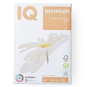 ɓ@oCIgbvJ[@A4 500 80g/m2izCgj