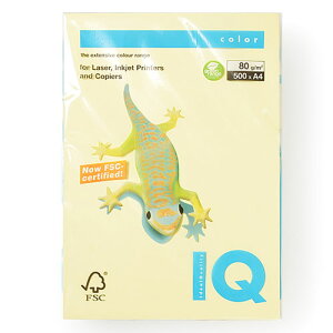 ɓ@oCIgbvJ[@A4 500 80g/m2iCG[j