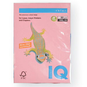 ɓ@oCIgbvJ[@A4 500 80g/m2isNj