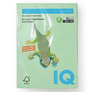 ɓ@oCIgbvJ[@A4 500 80g/m2i~fBAO[j