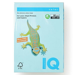 ɓ@oCIgbvJ[@A4 500 80g/m2i~fBAu[j