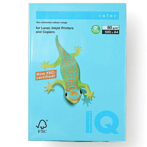 ɓ@oCIgbvJ[@A4 500 80g/m2iANAu[j