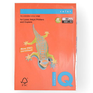 ɓ@oCIgbvJ[@A4 500 80g/m2iubNbhj