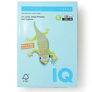 ɓ@oCIgbvJ[@A4 250 120g/m2i~fBAu[j