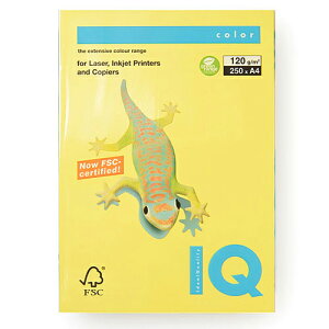 ɓ@oCIgbvJ[@A4 250 120g/m2iJi[CG[j