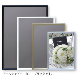 Ae@[J[i A~t[ A[Vh[ B1@B1iubNj