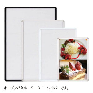 Ae@[J[i A~t[ I[vplS B1@B1iVo[j