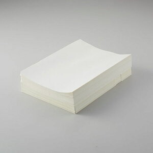 @z A4 Ɩp ł鎆̃z_[iWN[j