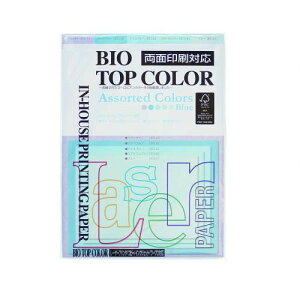 ɓ@oCIgbvJ[@A\[ebh A4 100 80g/m2ix_[CANAu[CACXu[C~fBAu[Cu[j