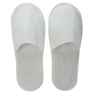 A[ebN@sDzXbp 10g ĝ Xbp  ΍ q