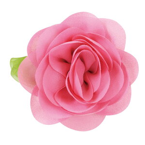 A[ebN@RT[WobW  w   LOi v[g RT[W  c qisNj