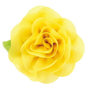 A[ebN@RT[WobW  w   LOi v[g RT[W  c qiCG[j