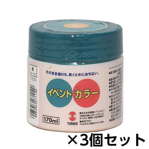 ターナー イベントカラー 170ml ポリ容器入り 1セット(3個) 色番14(肌)