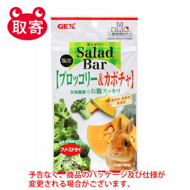 ジェックス　GEX　サラダバー　ペット用品　うさぎ　小動物用　ブロッコリー＆カボチャ