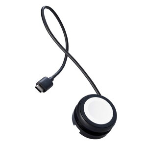 GR@ Apple Watch [d P[u USB Type-C 23cm AppleKFؕiiubNj