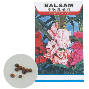 �A�[�e�b�N�@�Ԃ̎�@�z�E�Z���J