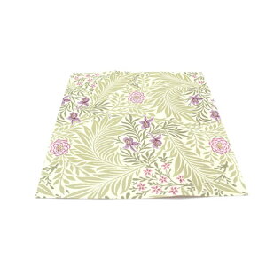 JH@mt CNV[g XNGA Morris&Co. Larkspur