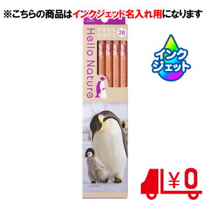 g{M@ꉔM ꗿ ҂ n[lC`[ REeCyM 2B 6p [No16]