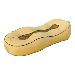 日動工業 エアソファベッド 【アラジン】