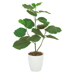 GkPC@Ex[^ilHAj ϗtA CeA  ItBX Q   gC