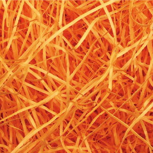 �T�T�K���@���p�b�L�� 1kg �I�����W ���b�s���O�i�I�����W�j