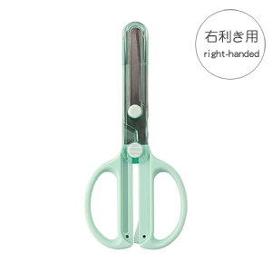 Nc@Lbv̂ǂnT~ Ep@Epi~gj