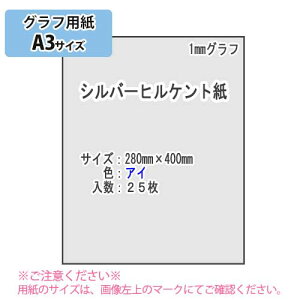 SAKAE TP 1mmグラフ シルバーヒルケント紙186g/m2 A3 25枚(アイ)