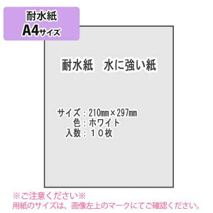 SAKAE TP@ϐ ɋ A4 10izCgj