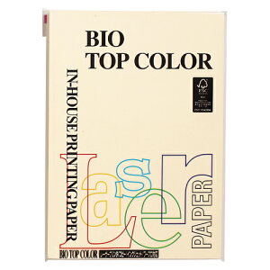 ɓ@oCIgbvJ[@A4 100 80g/m2iN[j