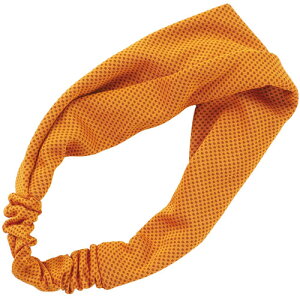 �A�[�e�b�N�@�⊴�w�A�o���h �I�����W�i�I�����W�j