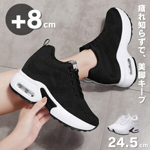  Xj[J[ fB[X Cq[Xj[J[ _CGbgV[Y EH[LOV[Y 8cm C r V[NbgV[Y ꂢ  y V[Y q[Abv r ɂ