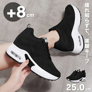  Xj[J[ fB[X Cq[Xj[J[ _CGbgV[Y EH[LOV[Y 8cm C r V[NbgV[Y ꂢ  y V[Y q[Abv r ɂ