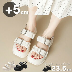 T_ 5cmq[ fB[X  T_ 傫TCY tbg ₷  AEghA  sy Cxg X|T C C r ~Mtg NX}X