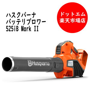 nXNo[i obe[uA 525iB mark2 XCb`IŃv̕ʁI{̂̂