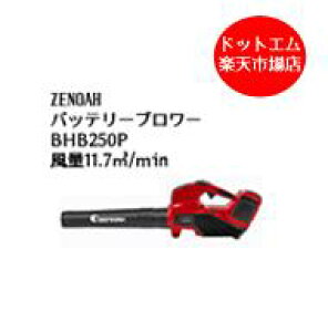 \obe[t[mA BHB250P obe[ nfB[uA u[ [dƃobe[Zbg