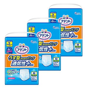 Aeg ^炳pc ʋCvX M jp 66(22×3)yΕzyP[X̔z