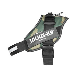 EXP[iC IDCp[n[lX Jt[W 2