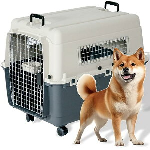 v`o y IATA NAzfbNX L[obO80 XL OF56.5×58.5×s80cm E^p