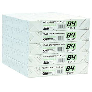 vX Rs[p J[y[p[ B4 2500 (500×5) F 86-418×5