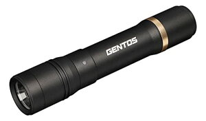 GENTOS(WFgX) d LEDCg [d(p[dr)  600[ NV[h RX-286R nfBCg t