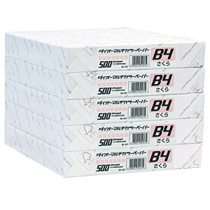 vX Rs[p J[y[p[ B4 2500 (500×5) F 86-421×5