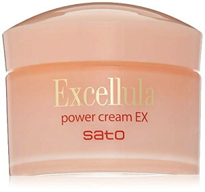  GNZ[ p[N[EX 40g (ne/AێIC) ێN[