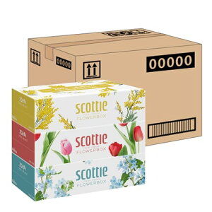 Scottie XRbeB yP[X̔z t[{bNX eBV[ 500(250g) 3 ×18