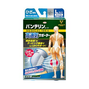 oeT|[^[ ʋC^Cv Ђp 傫/LTCY(Ђ 37~40cm) Vo[O[