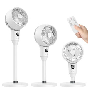 T[L[^[ @ py2025Voꁕߓd΍z T[L[^[ É U Ղ 6iK rO U 