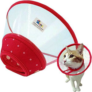 THAIN GUxXJ[  {^ Lp GUxXJ[ L \tg y 畆a ی p D 3TCY3F ybg