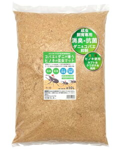 ɁZ }bg qmL `bv JugV NK^ p 10bg VRf100 L R  