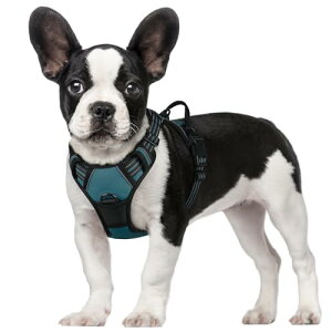 Rabbitgoo  n[lX ^ 5-15KG \tg 킢 p h~ SȂ TCY Ԕ 