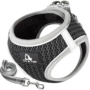 Lil&Fam  n[lX  [hZbg ĝɗD ˍޕt bV ^ ^ L (ubN XLTCY)